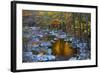 Fall Foliage Along Little River, Smoky Mountains NP, Tennessee, USA-Joanne Wells-Framed Photographic Print