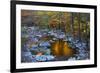 Fall Foliage Along Little River, Smoky Mountains NP, Tennessee, USA-Joanne Wells-Framed Photographic Print