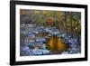 Fall Foliage Along Little River, Smoky Mountains NP, Tennessee, USA-Joanne Wells-Framed Photographic Print