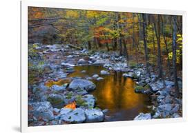 Fall Foliage Along Little River, Smoky Mountains NP, Tennessee, USA-Joanne Wells-Framed Photographic Print