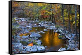 Fall Foliage Along Little River, Smoky Mountains NP, Tennessee, USA-Joanne Wells-Framed Stretched Canvas