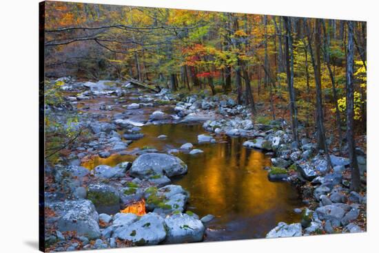 Fall Foliage Along Little River, Smoky Mountains NP, Tennessee, USA-Joanne Wells-Stretched Canvas