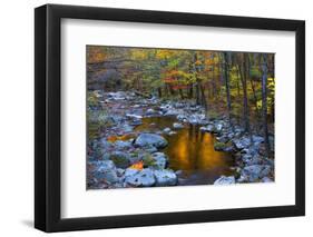 Fall Foliage Along Little River, Smoky Mountains NP, Tennessee, USA-Joanne Wells-Framed Premium Photographic Print