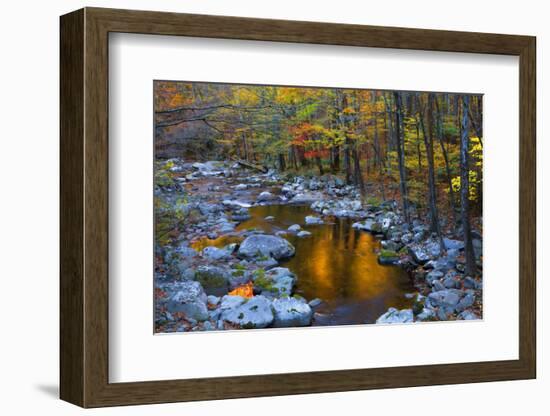 Fall Foliage Along Little River, Smoky Mountains NP, Tennessee, USA-Joanne Wells-Framed Photographic Print