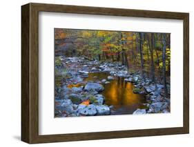 Fall Foliage Along Little River, Smoky Mountains NP, Tennessee, USA-Joanne Wells-Framed Photographic Print