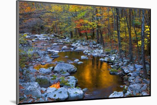 Fall Foliage Along Little River, Smoky Mountains NP, Tennessee, USA-Joanne Wells-Mounted Photographic Print