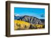 Fall foliage and Aspen trees at their peak, near Crested Butte, Colorado-Howie Garber-Framed Photographic Print