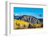 Fall foliage and Aspen trees at their peak, near Crested Butte, Colorado-Howie Garber-Framed Photographic Print