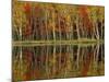 Fall Foliage and Birch Reflections, Hiawatha National Forest, Michigan, USA-Claudia Adams-Mounted Photographic Print