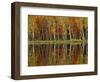 Fall Foliage and Birch Reflections, Hiawatha National Forest, Michigan, USA-Claudia Adams-Framed Photographic Print