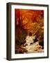 Fall Foliage and Running Stream, Grindsbrook Edale, Peak District, Derbyshire, England, UK-David Hughes-Framed Photographic Print