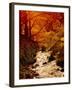 Fall Foliage and Running Stream, Grindsbrook Edale, Peak District, Derbyshire, England, UK-David Hughes-Framed Photographic Print