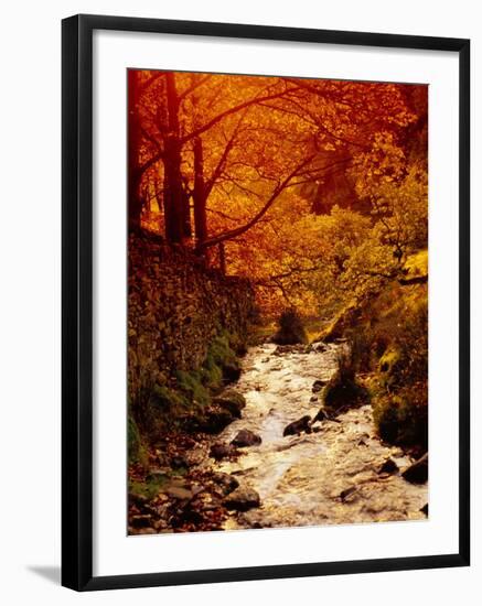 Fall Foliage and Running Stream, Grindsbrook Edale, Peak District, Derbyshire, England, UK-David Hughes-Framed Photographic Print