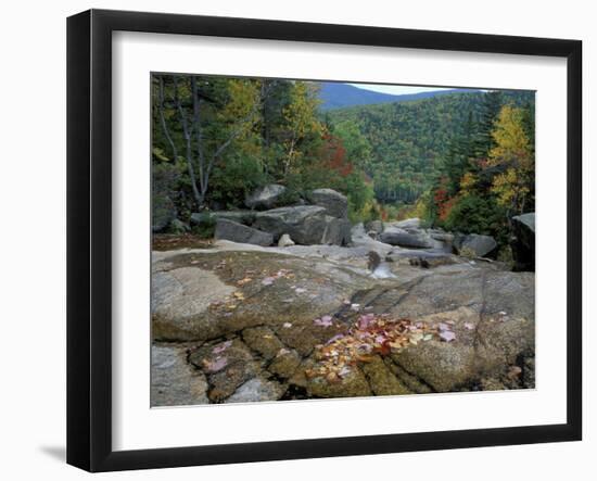 Fall Foliage, Appalachian Trail, White Mountains, New Hampshire, USA-Jerry & Marcy Monkman-Framed Premium Photographic Print