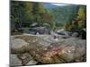 Fall Foliage, Appalachian Trail, White Mountains, New Hampshire, USA-Jerry & Marcy Monkman-Mounted Premium Photographic Print