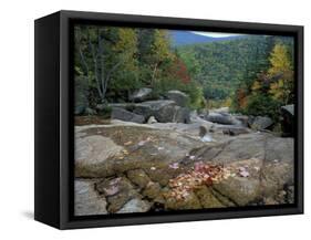 Fall Foliage, Appalachian Trail, White Mountains, New Hampshire, USA-Jerry & Marcy Monkman-Framed Stretched Canvas