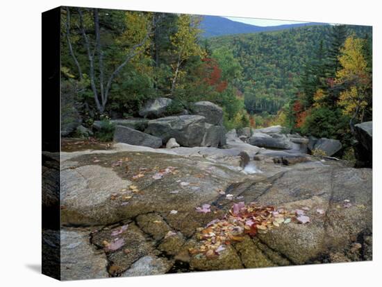 Fall Foliage, Appalachian Trail, White Mountains, New Hampshire, USA-Jerry & Marcy Monkman-Stretched Canvas