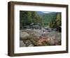 Fall Foliage, Appalachian Trail, White Mountains, New Hampshire, USA-Jerry & Marcy Monkman-Framed Photographic Print