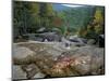 Fall Foliage, Appalachian Trail, White Mountains, New Hampshire, USA-Jerry & Marcy Monkman-Mounted Photographic Print