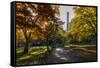 Fall Foliage at Central Park, Manhattan, New York, USA-Stefano Politi Markovina-Framed Stretched Canvas