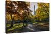 Fall Foliage at Central Park, Manhattan, New York, USA-Stefano Politi Markovina-Stretched Canvas