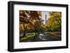 Fall Foliage at Central Park, Manhattan, New York, USA-Stefano Politi Markovina-Framed Photographic Print