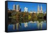 Fall Foliage at Central Park with Upper West Side Behind, Manhattan, New York, USA-Stefano Politi Markovina-Framed Stretched Canvas