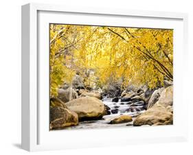 Fall Foliage at Creek, Eastern Sierra Foothills, California, USA-Tom Norring-Framed Photographic Print