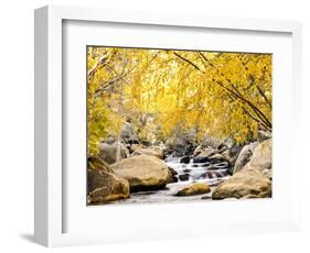 Fall Foliage at Creek, Eastern Sierra Foothills, California, USA-Tom Norring-Framed Photographic Print