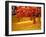 Fall Foliage at Eikando Temple in Kyoto, Japan.-SeanPavonePhoto-Framed Photographic Print