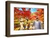 Fall Foliage at Eikando Temple in Kyoto, Japan.-SeanPavonePhoto-Framed Photographic Print