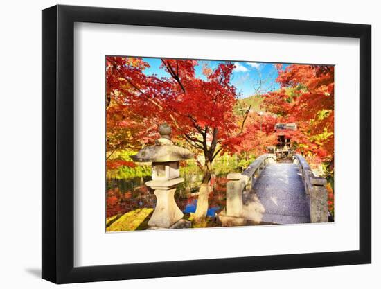 Fall Foliage at Eikando Temple in Kyoto, Japan.-SeanPavonePhoto-Framed Photographic Print