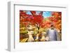 Fall Foliage at Eikando Temple in Kyoto, Japan.-SeanPavonePhoto-Framed Photographic Print