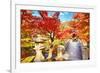 Fall Foliage at Eikando Temple in Kyoto, Japan.-SeanPavonePhoto-Framed Photographic Print