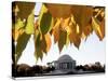 Fall Foliage Frames the Jefferson Memorial on the Tidal Basin Near the White House-Ron Edmonds-Stretched Canvas