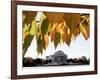 Fall Foliage Frames the Jefferson Memorial on the Tidal Basin Near the White House-Ron Edmonds-Framed Photographic Print