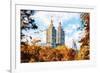 Fall Foliage in Central Park II - In the Style of Oil Painting-Philippe Hugonnard-Framed Giclee Print