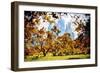 Fall Foliage in Central Park - In the Style of Oil Painting-Philippe Hugonnard-Framed Giclee Print