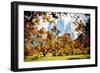 Fall Foliage in Central Park - In the Style of Oil Painting-Philippe Hugonnard-Framed Giclee Print