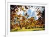 Fall Foliage in Central Park - In the Style of Oil Painting-Philippe Hugonnard-Framed Giclee Print