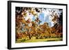 Fall Foliage in Central Park - In the Style of Oil Painting-Philippe Hugonnard-Framed Giclee Print