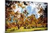 Fall Foliage in Central Park - In the Style of Oil Painting-Philippe Hugonnard-Mounted Giclee Print