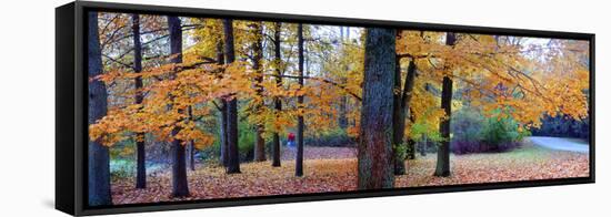 Fall foliage in Eagle Creek Park, Indianapolis, Indiana, USA-Anna Miller-Framed Stretched Canvas