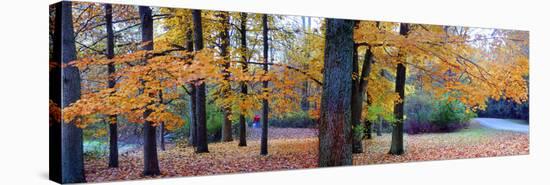 Fall foliage in Eagle Creek Park, Indianapolis, Indiana, USA-Anna Miller-Stretched Canvas