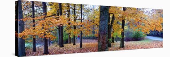 Fall foliage in Eagle Creek Park, Indianapolis, Indiana, USA-Anna Miller-Stretched Canvas