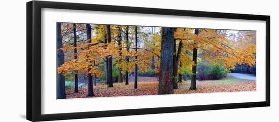 Fall foliage in Eagle Creek Park, Indianapolis, Indiana, USA-Anna Miller-Framed Premium Photographic Print