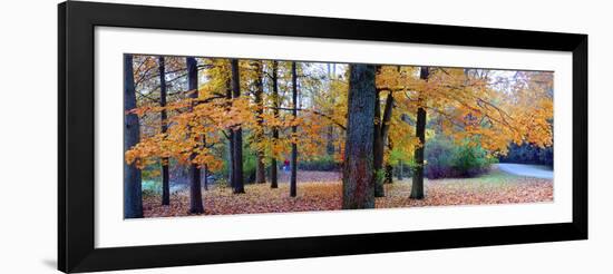 Fall foliage in Eagle Creek Park, Indianapolis, Indiana, USA-Anna Miller-Framed Photographic Print