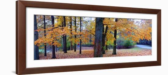 Fall foliage in Eagle Creek Park, Indianapolis, Indiana, USA-Anna Miller-Framed Photographic Print