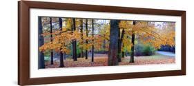 Fall foliage in Eagle Creek Park, Indianapolis, Indiana, USA-Anna Miller-Framed Photographic Print