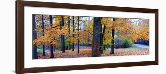 Fall foliage in Eagle Creek Park, Indianapolis, Indiana, USA-Anna Miller-Framed Photographic Print